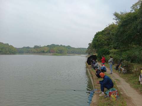 柳樹桂花巷也可釣魚，釣客一邊釣魚一邊聞著桂花香