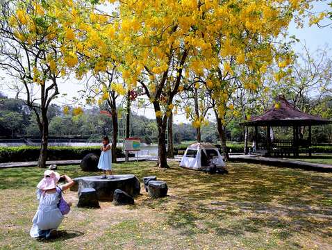 活動期間憑燈會現場合照可有一位成人購買全票享一位12歲以下兒童免費入園