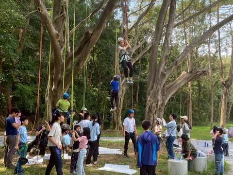 向陽關懷協會孩童攀樹體驗-2