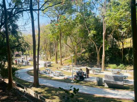 竹林烤肉區親朋好友一起來夯肉