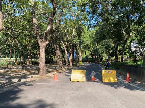 S__43859980