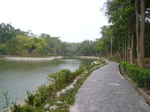 環湖步道