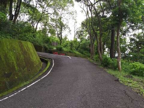 蟋蟀館往吊橋與竹林烤肉區三叉路口上下坡路段